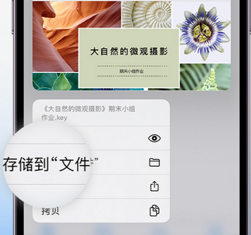 牙克石apple维修中心分享iPhone文件应用中存储和找到下载文件