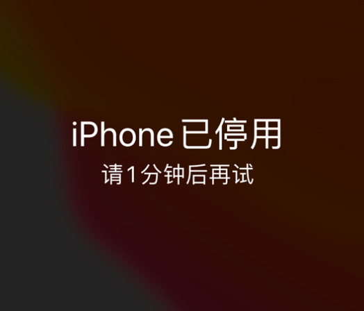 牙克石苹果手机维修分享:iPhone 显示“不可用”或“已停用”怎么办？还能保留数据吗？ 