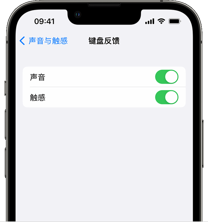 牙克石苹果14维修店分享如何在 iPhone 14 机型中使用触感键盘 