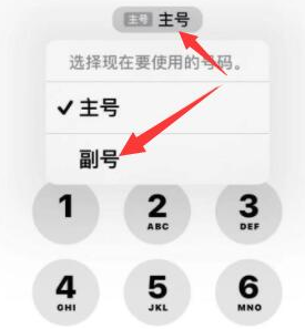 牙克石苹果14维修店分享iPhone 14 Pro Max使用副卡打电话的方法 