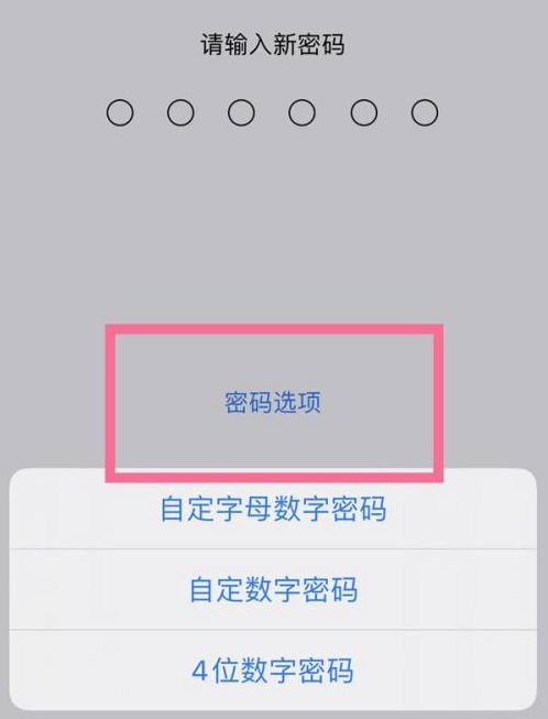 牙克石苹果14维修分享iPhone 14plus设置密码的方法 