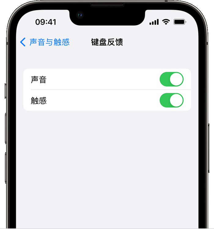 牙克石苹果14维修分享iPhone 14 系列机型如何开启键盘声音或触感反馈 