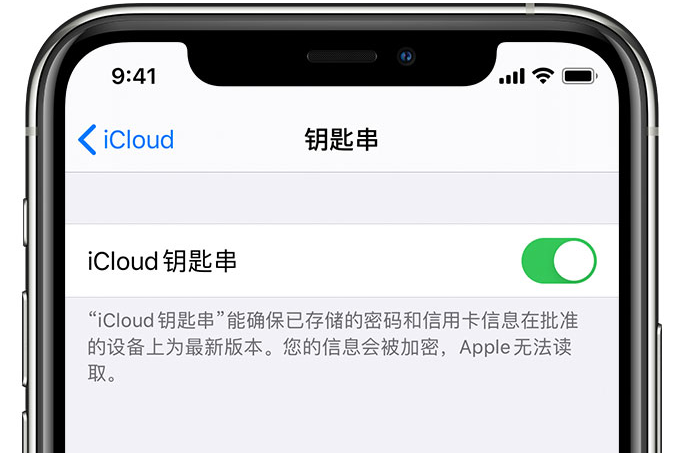 牙克石苹果手机维修分享在 iPhone 上开启 iCloud 钥匙串之后会储存哪些信息 