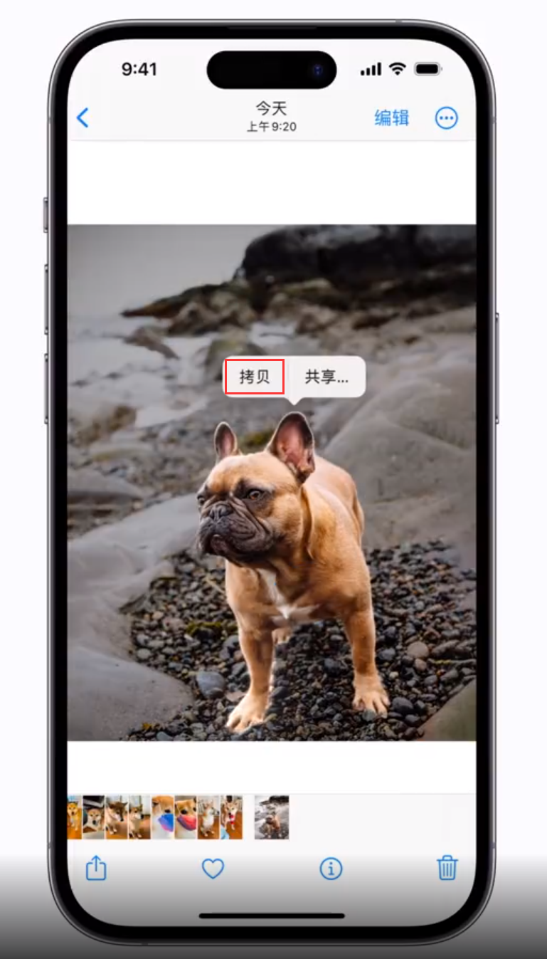 牙克石 苹果手机维修分享iOS 16 “照片”应用更新内容与改进汇总 