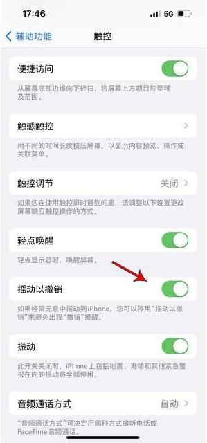 牙克石苹果手机维修分享iPhone手机如何设置摇一摇删除文字 